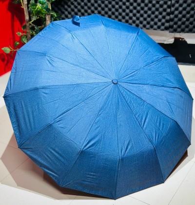 Premium 12-Ribs Automatic Umbrella With Flash Light – Blue